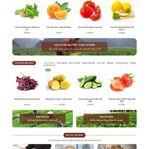 Theme wordpress tạp hóa - Theme Wordpress Giá Rẻ - Mua Bán Theme WP Đẹp Chuẩn Seo