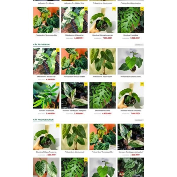 Theme wordpress bán cây xanh nhiệt đới ,cây xanh 2